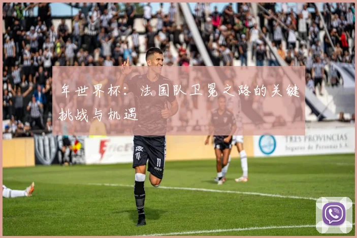 年世界杯:法国队卫冕之路的关键挑战与机遇